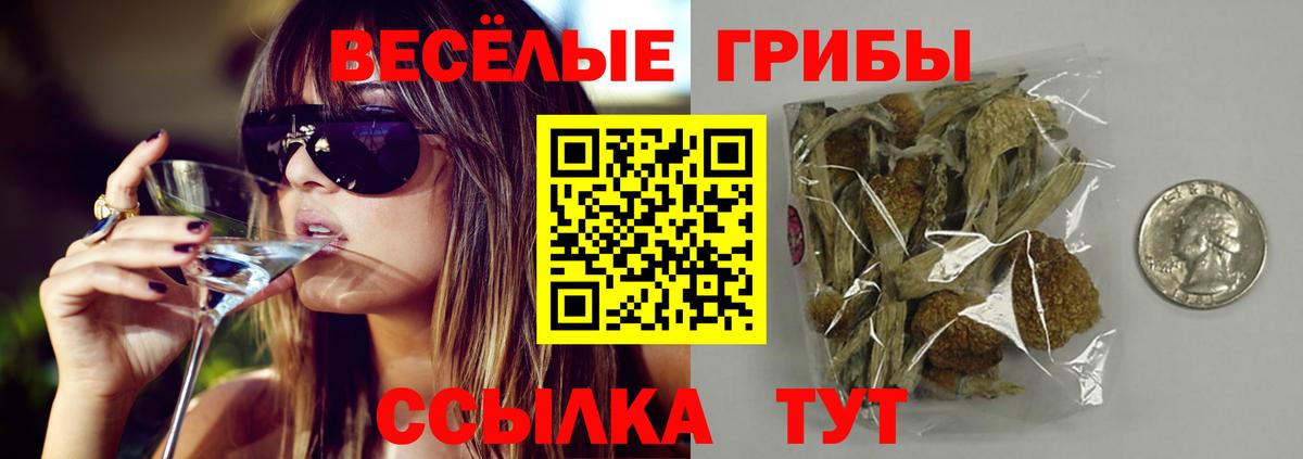 Павловский Посад  Галлюциногенные грибы MAGIC MUSHROOMS  Псилоцибиновые грибы Cubensis  Вход с VPN 