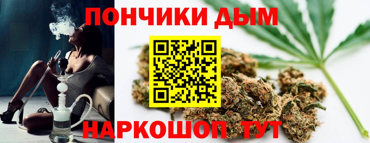 Шишки марихуана конопля Павловский Посад